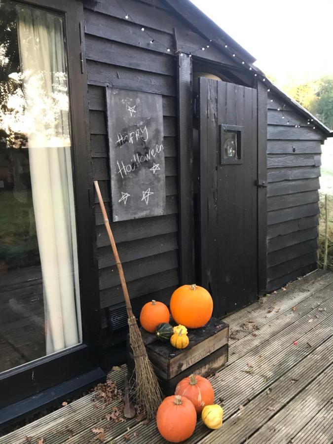 אשפורד The Old Apple Shed Cosy Heated Cottage In A Meadow Close To The Charming Village Of Bethersden מראה חיצוני תמונה