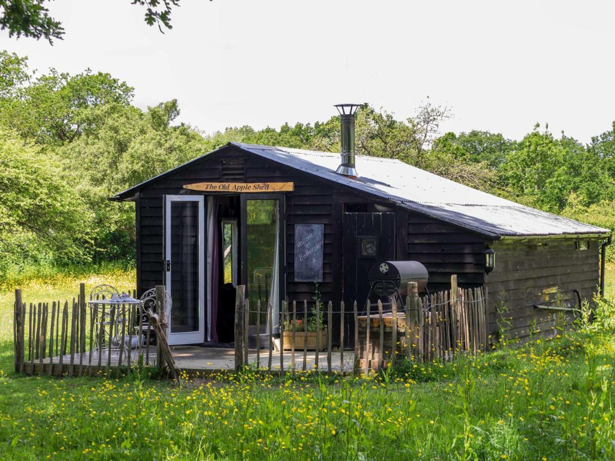 אשפורד The Old Apple Shed Cosy Heated Cottage In A Meadow Close To The Charming Village Of Bethersden מראה חיצוני תמונה