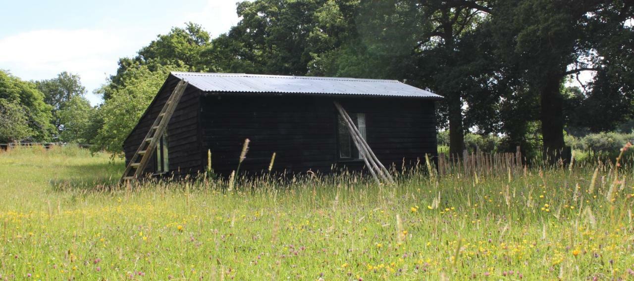 אשפורד The Old Apple Shed Cosy Heated Cottage In A Meadow Close To The Charming Village Of Bethersden מראה חיצוני תמונה
