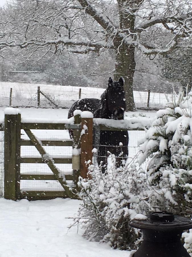 אשפורד The Old Apple Shed Cosy Heated Cottage In A Meadow Close To The Charming Village Of Bethersden מראה חיצוני תמונה